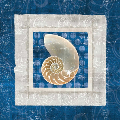 Picture of SEA SHELL II ON BLUE 