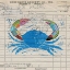 Picture of FRESH FROM THE SEA I
