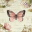 Picture of MARCHE DE FLEURS BUTTERFLY I