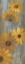 Picture of YELLOW GERBERAS II