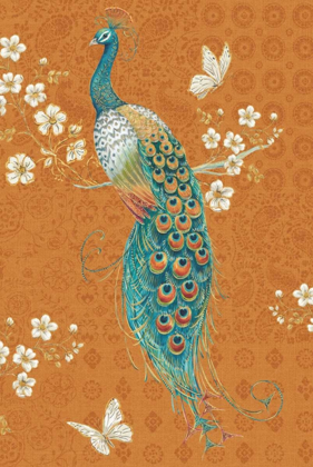 Picture of ORNATE PEACOCK X SPICE