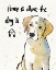 Picture of STRIKE A PAWS VIII