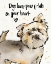 Picture of STRIKE A PAWS VII
