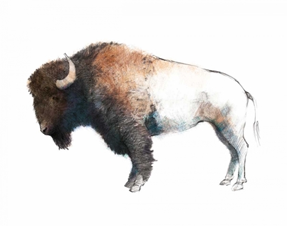 Picture of COLORFUL BISON DARK BROWN