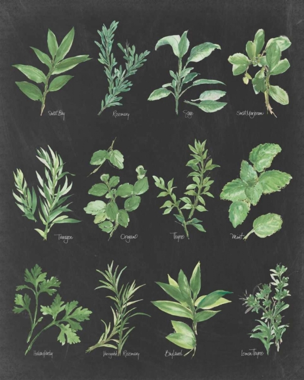 Picture of HERB CHART ON BLACK