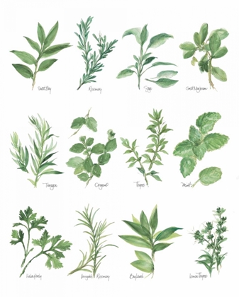 Picture of HERB CHART