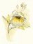 Picture of CAROLS ROSES V