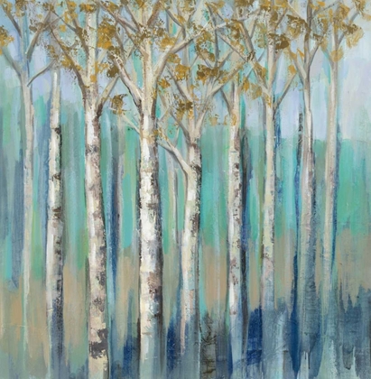 Picture of BIRCHES AT DAWN