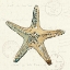 Picture of COASTAL BREEZE VIII