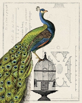 Picture of PEACOCK BIRDCAGE I