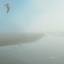 Picture of SEAGULL MORNING