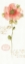 Picture of RAINBOW SEEDS LOOSE FLORAL IV