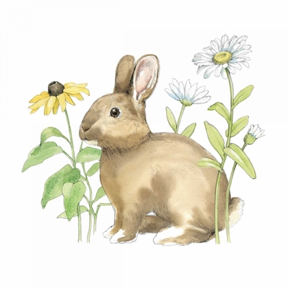 Picture of WILDFLOWER BUNNIES II SQ