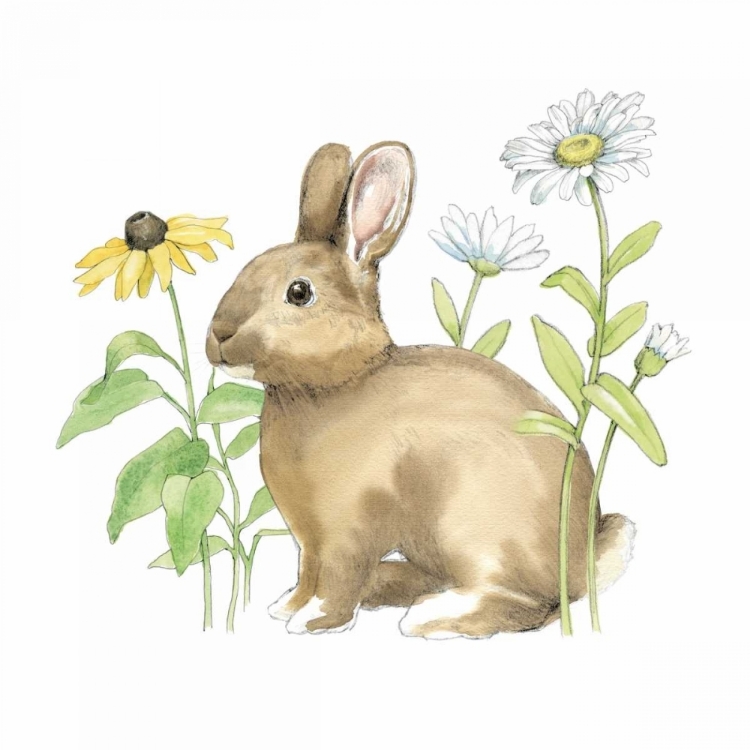 Picture of WILDFLOWER BUNNIES II SQ