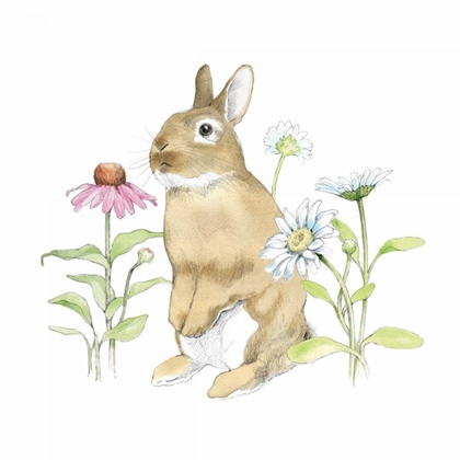 Picture of WILDFLOWER BUNNIES IV