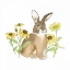 Picture of WILDFLOWER BUNNIES III SQ