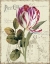 Picture of GARDEN VIEW II - TULIP