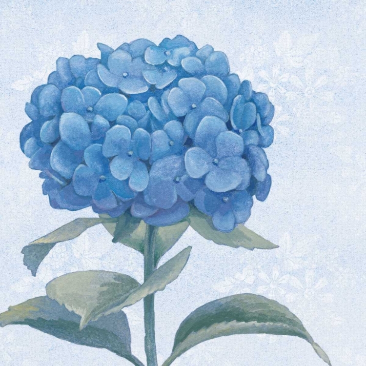 Picture of BLUE HYDRANGEA III