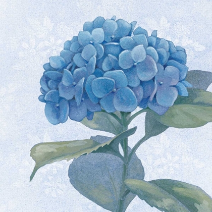 Picture of BLUE HYDRANGEA IV