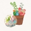 Picture of SUCCULENT GARDEN III