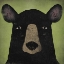 Picture of THE BLACK BEAR