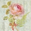 Picture of NATURAL FLORA I 