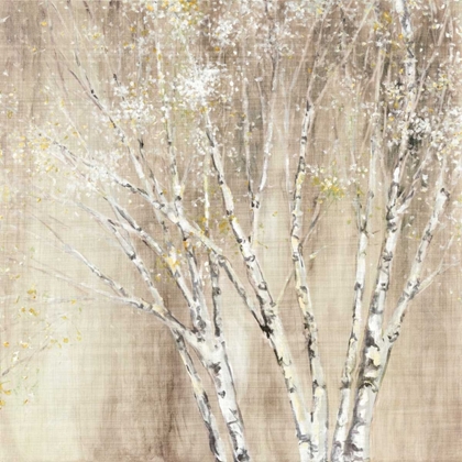 Picture of BLUE BIRCH NEUTRAL