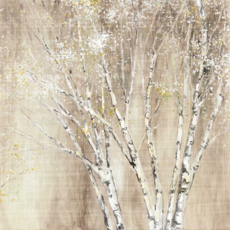 Picture of BLUE BIRCH NEUTRAL
