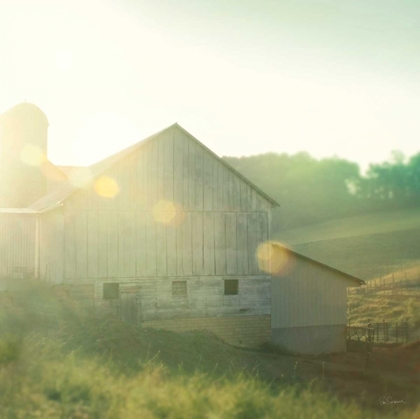 Picture of FARM MORNING II SQUARE