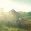 Picture of FARM MORNING II SQUARE