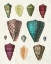 Picture of COLORFUL SHELL ASSORTMENT II