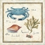 Picture of OCEANOGRAPHY IV
