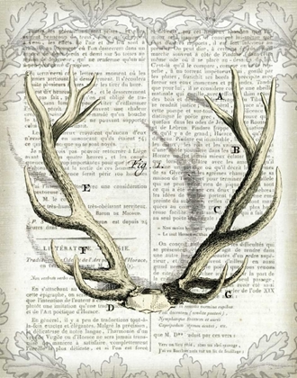 Picture of REGAL ANTLERS ON NEWSPRINT I