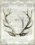 Picture of REGAL ANTLERS ON NEWSPRINT I