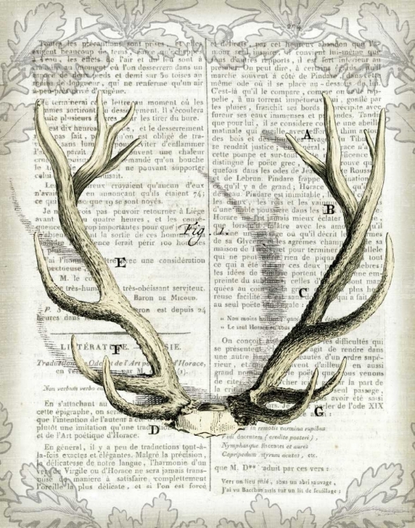 Picture of REGAL ANTLERS ON NEWSPRINT I