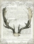 Picture of REGAL ANTLERS ON NEWSPRINT II