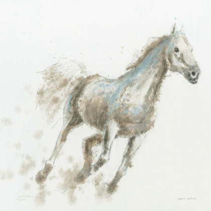 Picture of STALLION I