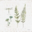 Picture of IN THE FOREST VI