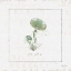 Picture of IN THE FOREST III