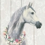 Picture of SPIRIT STALLION I ON WOOD SQUARE