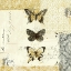 Picture of GOLDEN BEES N BUTTERFLIES NO 2