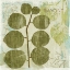 Picture of WOODLAND THOUGHTS I