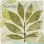 Picture of WOODLAND THOUGHTS II