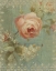 Picture of ROSE ON SAGE