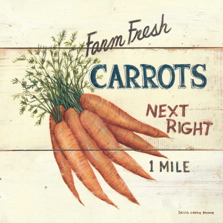 Picture of FARM FRESH CARROTS