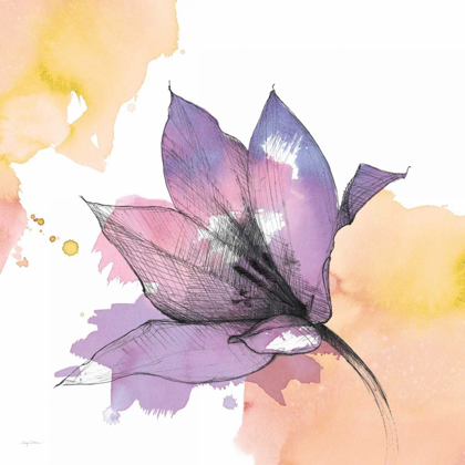 Picture of WATERCOLOR GRAPHITE FLOWER IX