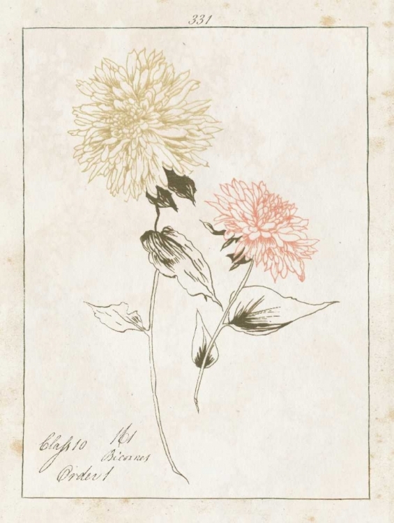 Picture of FLOWERS ON WHITE IV WITH WORDS
