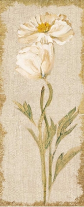 Picture of COSMO PANEL ON WHITE VINTAGE V2