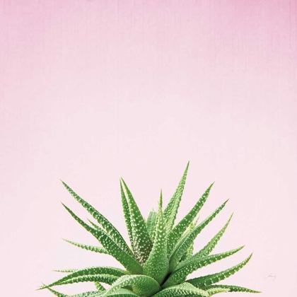 Picture of SUCCULENT SIMPLICITY I ON PINK