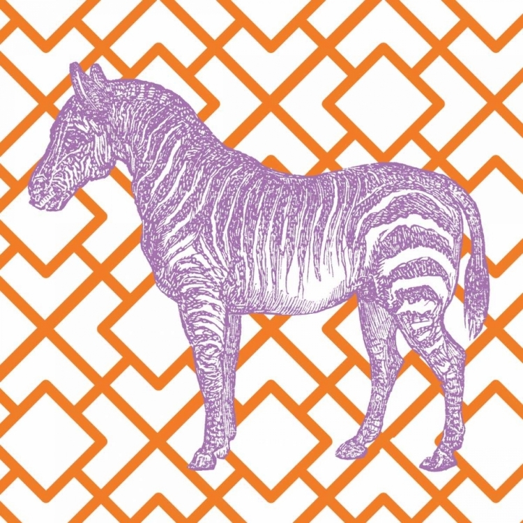 Picture of BRIGHT MENAGERIE ZEBRA